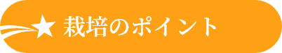 栽培のポイント
